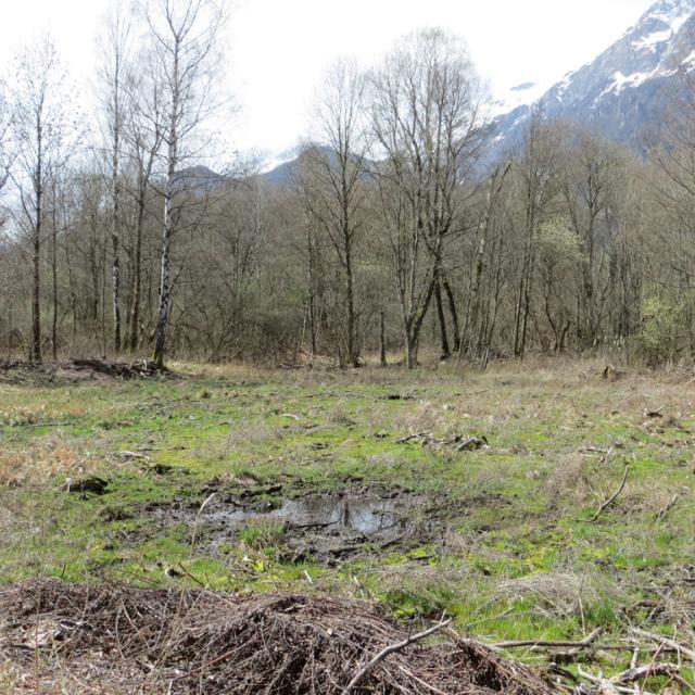 Marais vieille-morte - ENS Bourg d'Oisans © Parc national des Ecrins