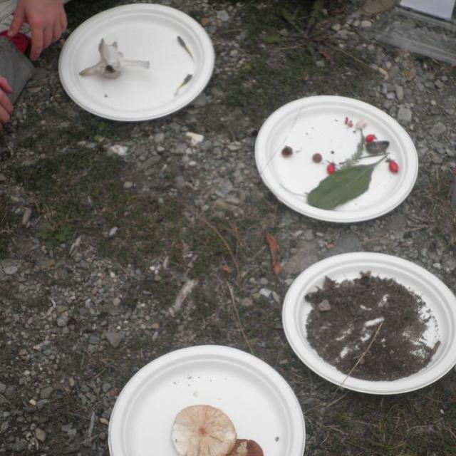 intervention pédagogique - école de Pelvoux - 2014-2015 - Parc national des Ecrins