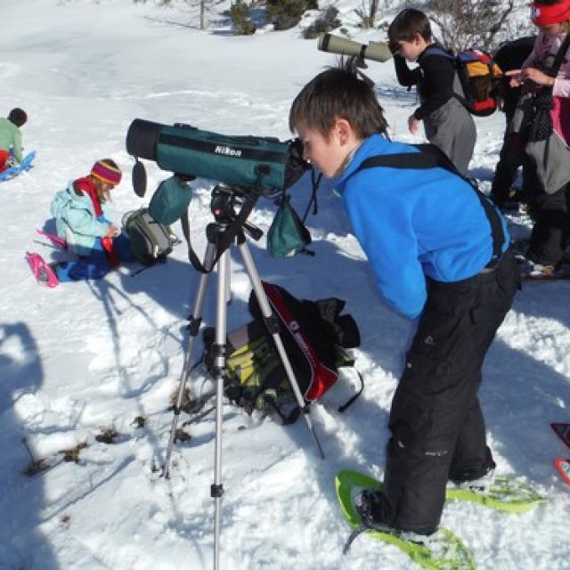 Ecole du Monêtier-les-Bains-programmes avec le Parc national des Ecrins- 2014-2015