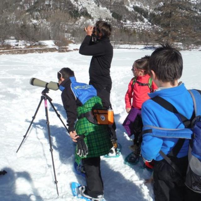 Ecole du Monêtier-les-Bains-programmes avec le Parc national des Ecrins- 2014-2015