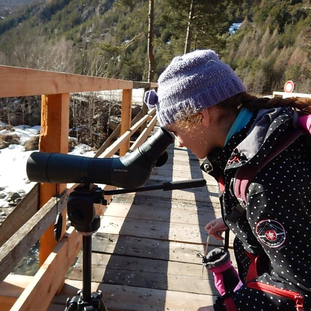 ecole freissinières - cincle plongeur - projet avec le Parc national des Écrins