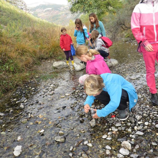 école de Freissinières - oct 2015 - sortie invertébrés vers la Biaysse - Parc national des Ecrins