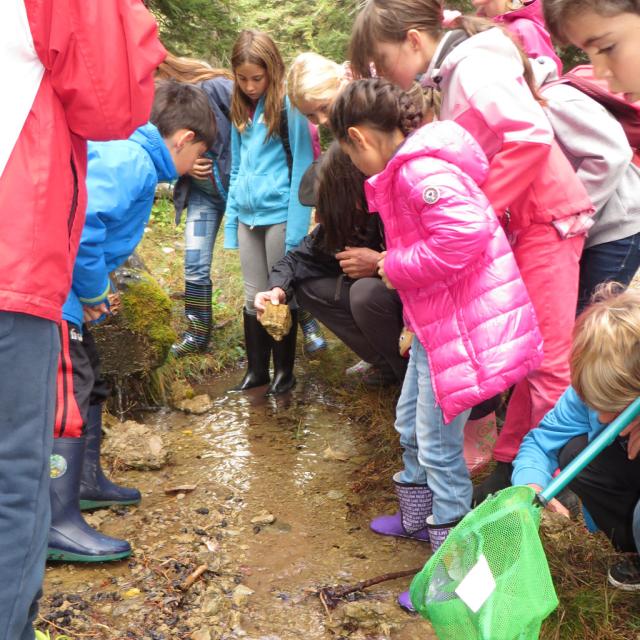 école de Freissinières - oct 2015 - sortie invertébrés vers la Biaysse - Parc national des Ecrins