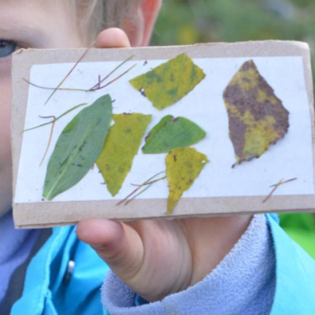 Jeunes découvreurs du Parc national des Ecrins - ecole de Pelvoux - oct 2015