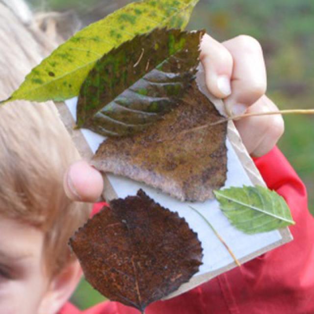 Jeunes découvreurs du Parc national des Ecrins - ecole de Pelvoux - oct 2015