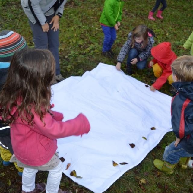 Jeunes découvreurs du Parc national des Ecrins - ecole de Pelvoux - oct 2015