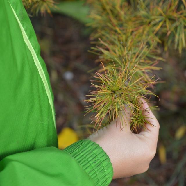 Jeunes découvreurs du Parc national des Ecrins - ecole de Pelvoux - oct 2015