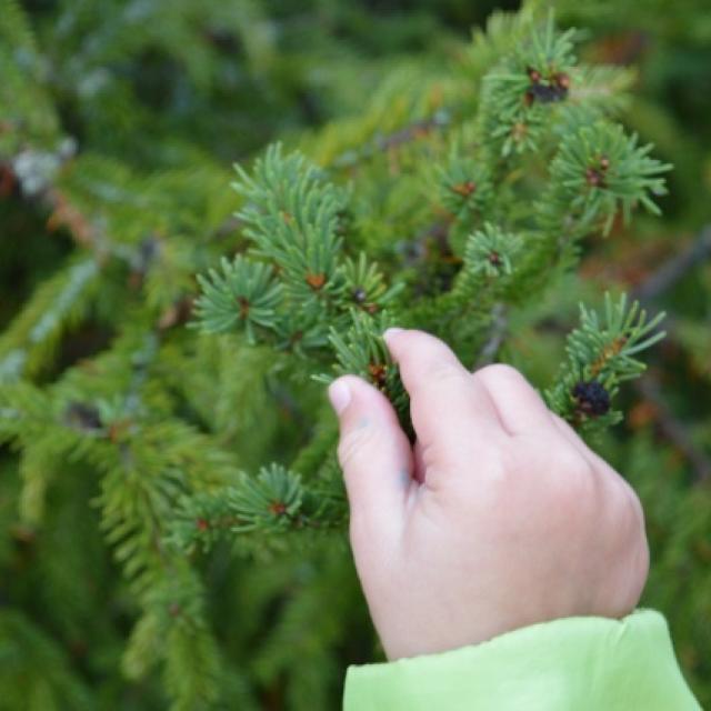 Jeunes découvreurs du Parc national des Ecrins - ecole de Pelvoux - oct 2015