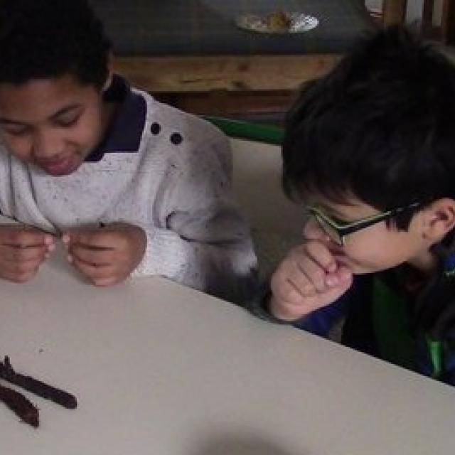 ecole Freney d'Oisans - séance 4 avec le Parc national des Ecrins- 2015-2016