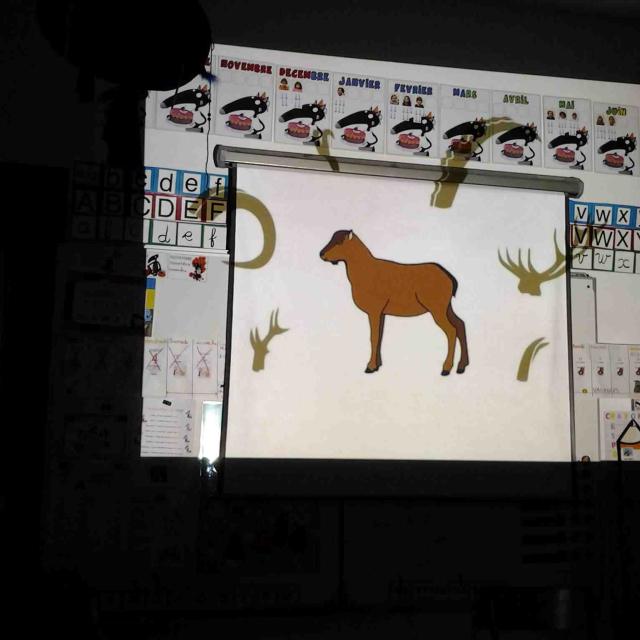 Les animaux de montagne - école de Mizoën - maternelles - avec le Parc national des Ecrins - 2015-2016
