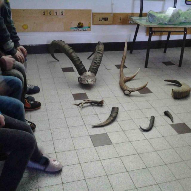 Les animaux de montagne - école de Mizoën - maternelles - avec le Parc national des Ecrins - 2015-2016