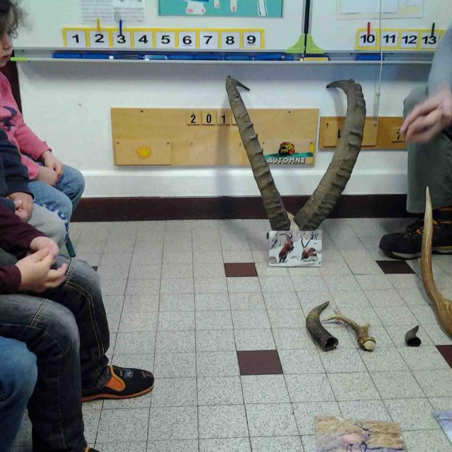 Les animaux de montagne - école de Mizoën - maternelles - avec le Parc national des Ecrins - 2015-2016