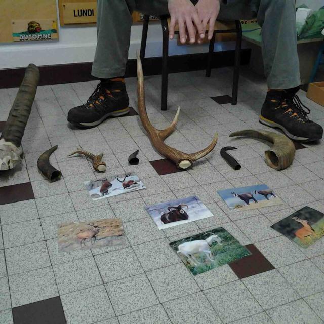 Les animaux de montagne - école de Mizoën - maternelles - avec le Parc national des Ecrins - 2015-2016