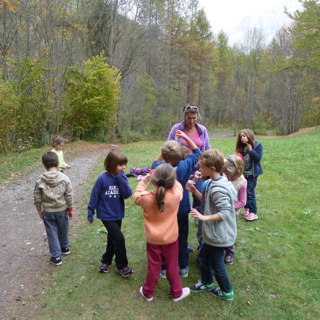 projet pédagogique - CP Vallouise - 2015-2016 avec le Parc national des Ecrins