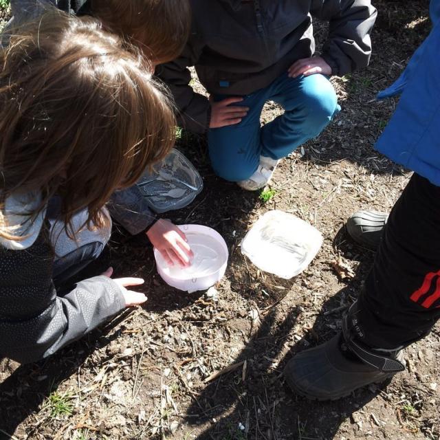 Traces et indices - école de Chauffayer- 2015-2016 © Parc national des Ecrins