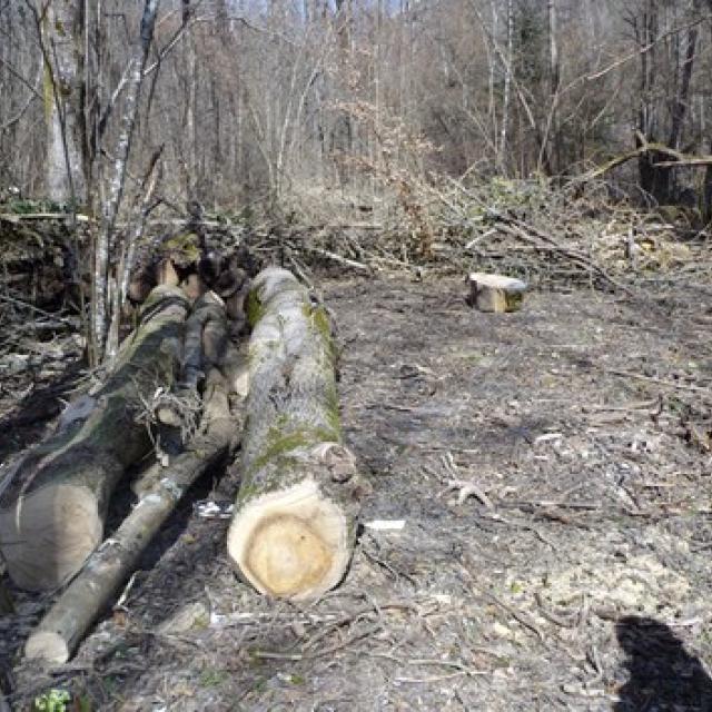 ecole Freney d'oisans - cycle 3 - Parc national des Ecrins - sortie mars 2016 - ENS Bourg d'Oisans