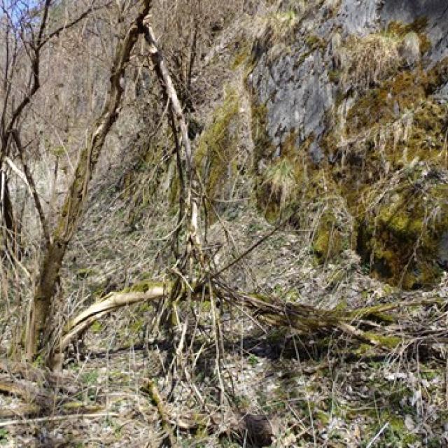 ecole Freney d'oisans - cycle 3 - Parc national des Ecrins - sortie mars 2016 - ENS Bourg d'Oisans