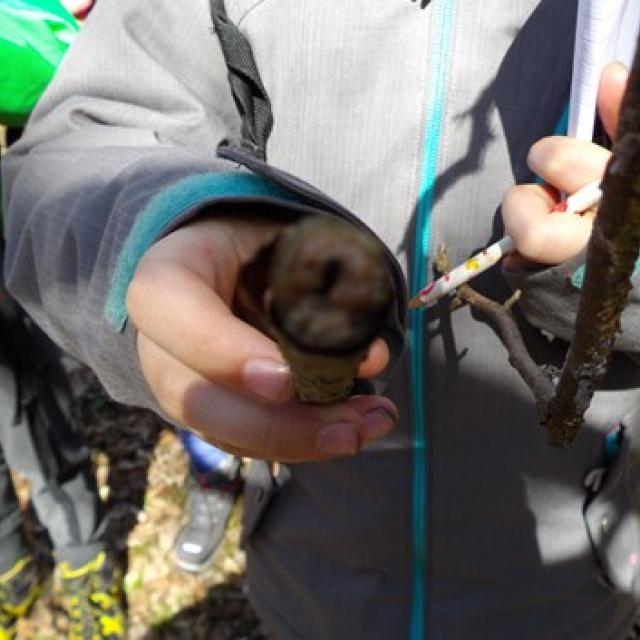 ecole Freney d'oisans - cycle 3 - Parc national des Ecrins - sortie mars 2016 - ENS Bourg d'Oisans