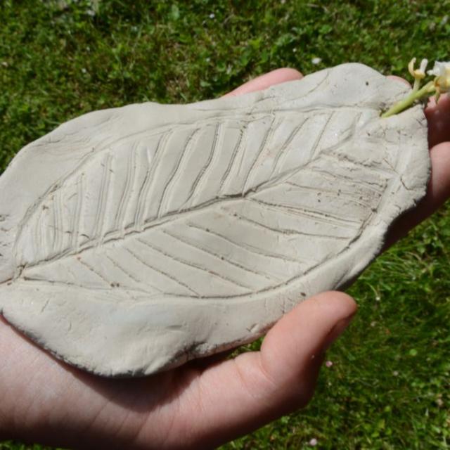 arbres et paysage - projet pédagogique 2014-2015- école saint-Firmin - Parc national des Ecrins