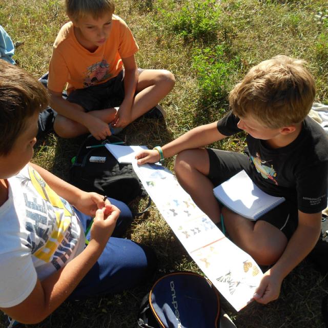 Ecole Freissinières - projet 2016-2017 avec le Parc national des Ecrins sur les insectes