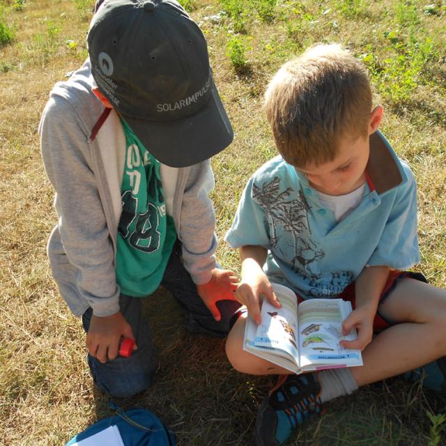 Ecole Freissinières - projet 2016-2017 avec le Parc national des Ecrins sur les insectes