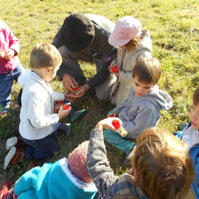 jeunes découvreurs de Champcella - sortie 1 avec le Parc national des Ecrins - octobre 2016