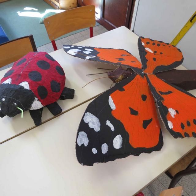 séance papillons - école Mizoen - parc national des Ecrins 2017