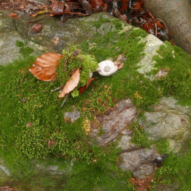 Jeunes découvreurs de la Motte en Champsaur - projet pédagogique avec le Parc national des Ecrins - 2016-2017