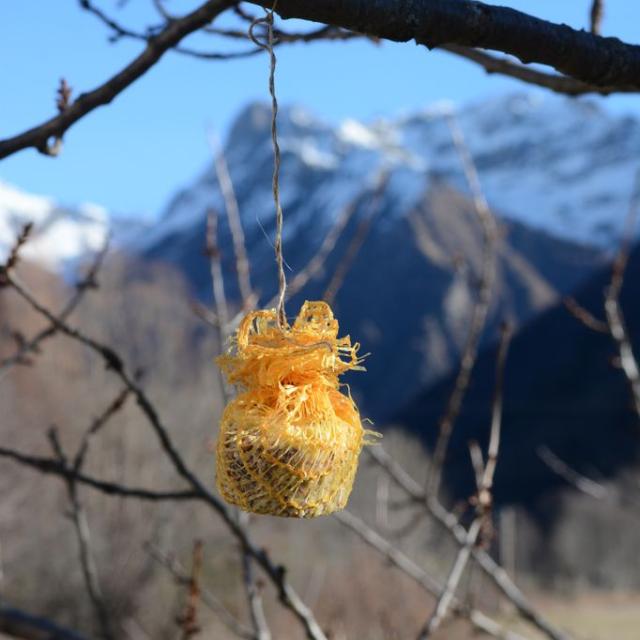 Jeunes découvreurs de la Motte en Champsaur - projet pédagogique avec le Parc national des Ecrins - 2016-2017