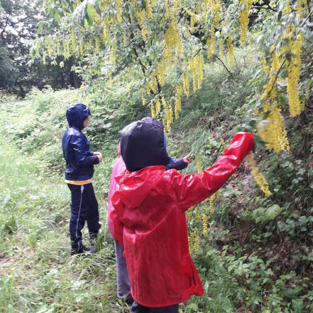 Ecole Pelvoux Vallouise - Parc national des Écrins - 2018