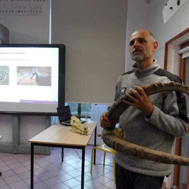 projet pédagogique Freney d'Oisans avec le Parc national des Ecrins - animaux sauvages - 2017-2018