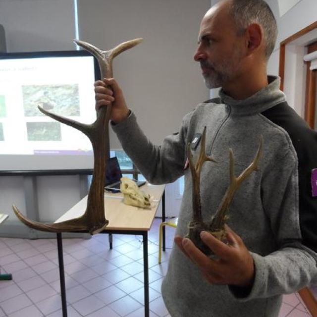 projet pédagogique Freney d'Oisans avec le Parc national des Ecrins - animaux sauvages - 2017-2018