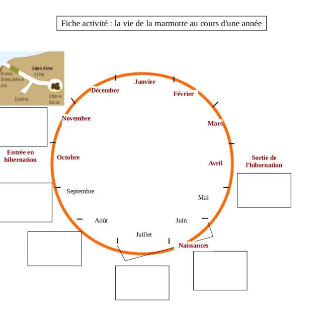 projet pédagogique Freney d'Oisans avec le Parc national des Ecrins - animaux sauvages - 2017-2018