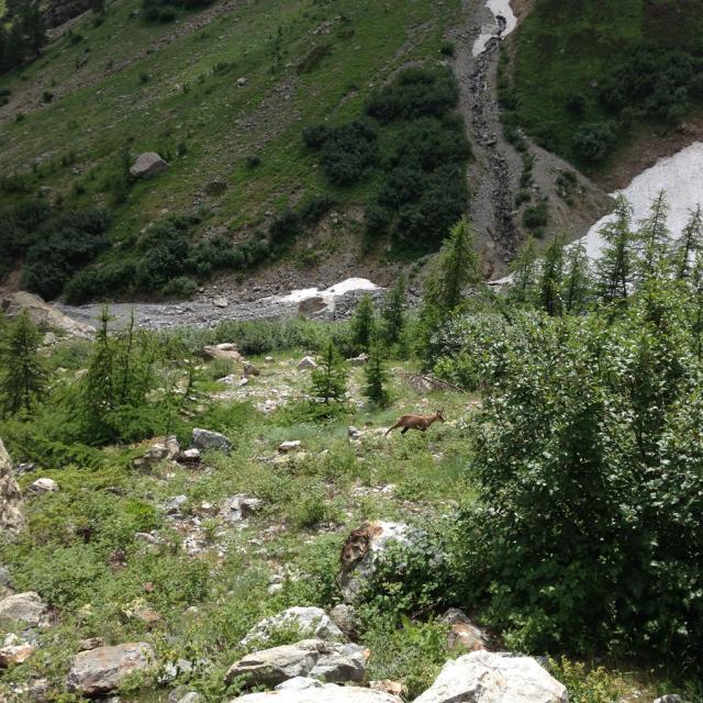 Sortie en Vallouise avec le Parc national des Écrins - ecole Freissinières - 2017/2018