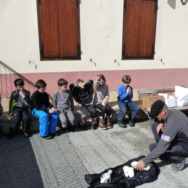 Séance sur le loup - 16 mars 2018 - ecole Freissinières - Parc national des Ecrins - programme jeunes découvreurs