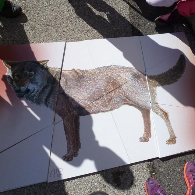 Séance sur le loup - 16 mars 2018 - ecole Freissinières - Parc national des Ecrins - programme jeunes découvreurs