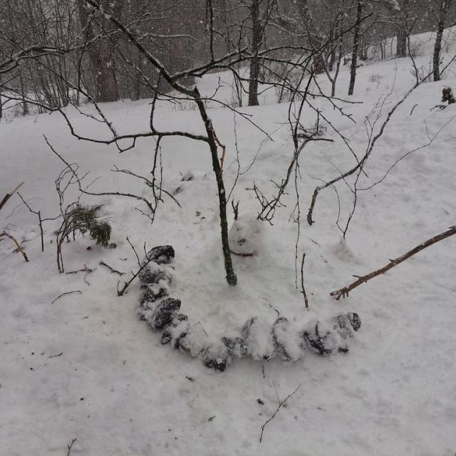 Jeunes découvreurs du Parc national des Ecrins - La Motte-en-Champsaur 2018-2018 - traces et indices des animaux