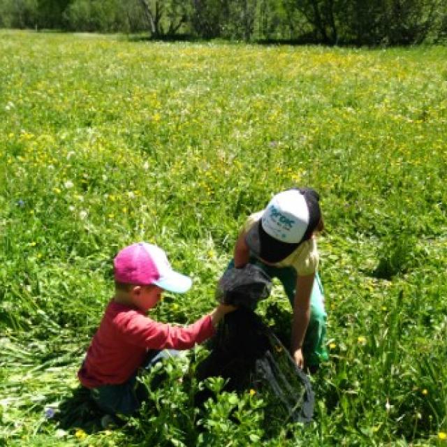 Jeunes découvreurs La Grave - Tout sur les papillons avec le parc national des Écrins - 2018-2019