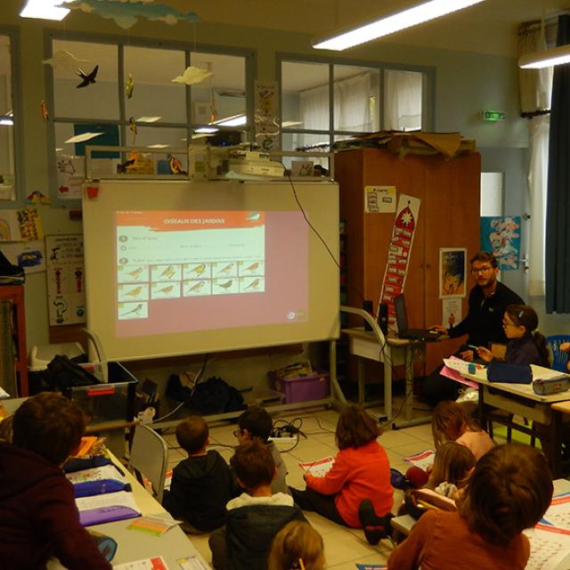 Vigie école oiseaux des jardins - ecole pont du fossé avec le Parc national des Ecrins - 2019/2020