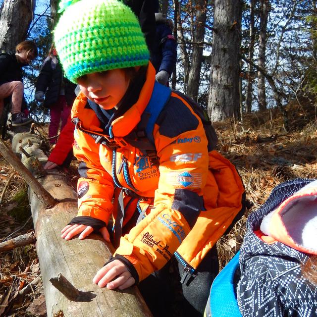 Vigie école oiseaux des jardins - ecole pont du fossé avec le Parc national des Ecrins - 2019/2020