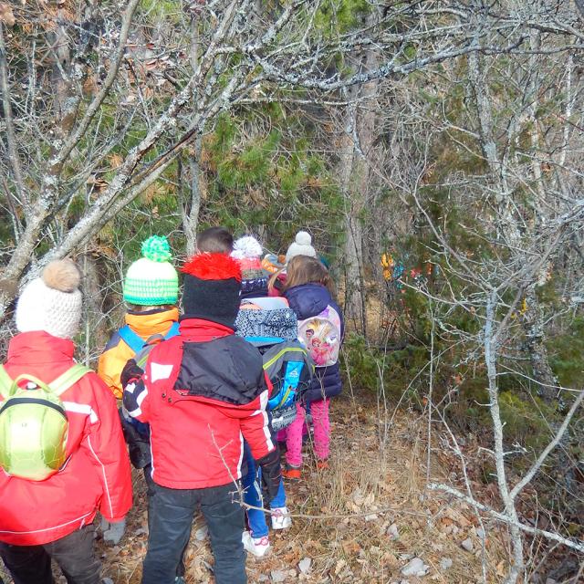 Vigie école oiseaux des jardins - ecole pont du fossé avec le Parc national des Ecrins - 2019/2020