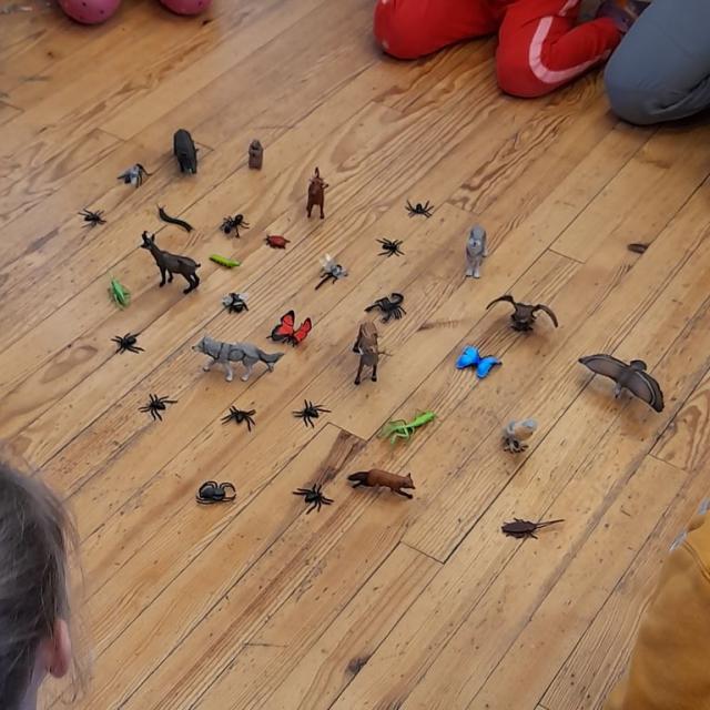 Animation parc et insectes pour les PS-CP de l'école de Puy-Saint-Eusèbe