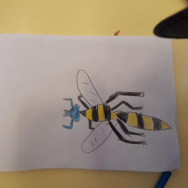 Animation parc et insectes pour les PS-CP de l'école de Puy-Saint-Eusèbe