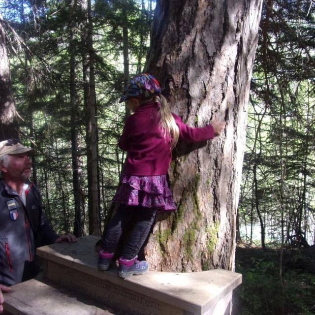 Balade sur le sentier d'Alfred à Freissinières